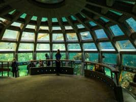 Seattle Aquarium: Entry Ticket
