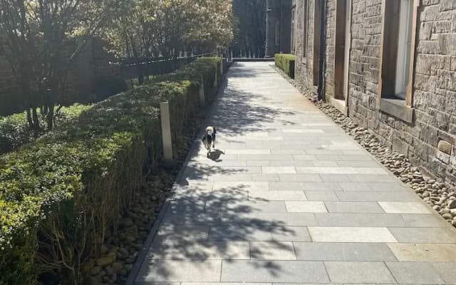 Spacious one bed Quartermile Apartment With Breathtaking Park Views - V Central